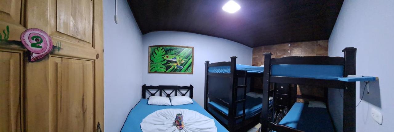 Hostel Tortuguero 7Backpackers Exteriér fotografie
