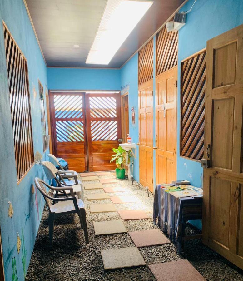 Hostel Tortuguero 7Backpackers Exteriér fotografie