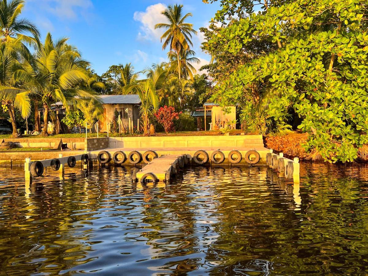 Hostel Tortuguero 7Backpackers Exteriér fotografie