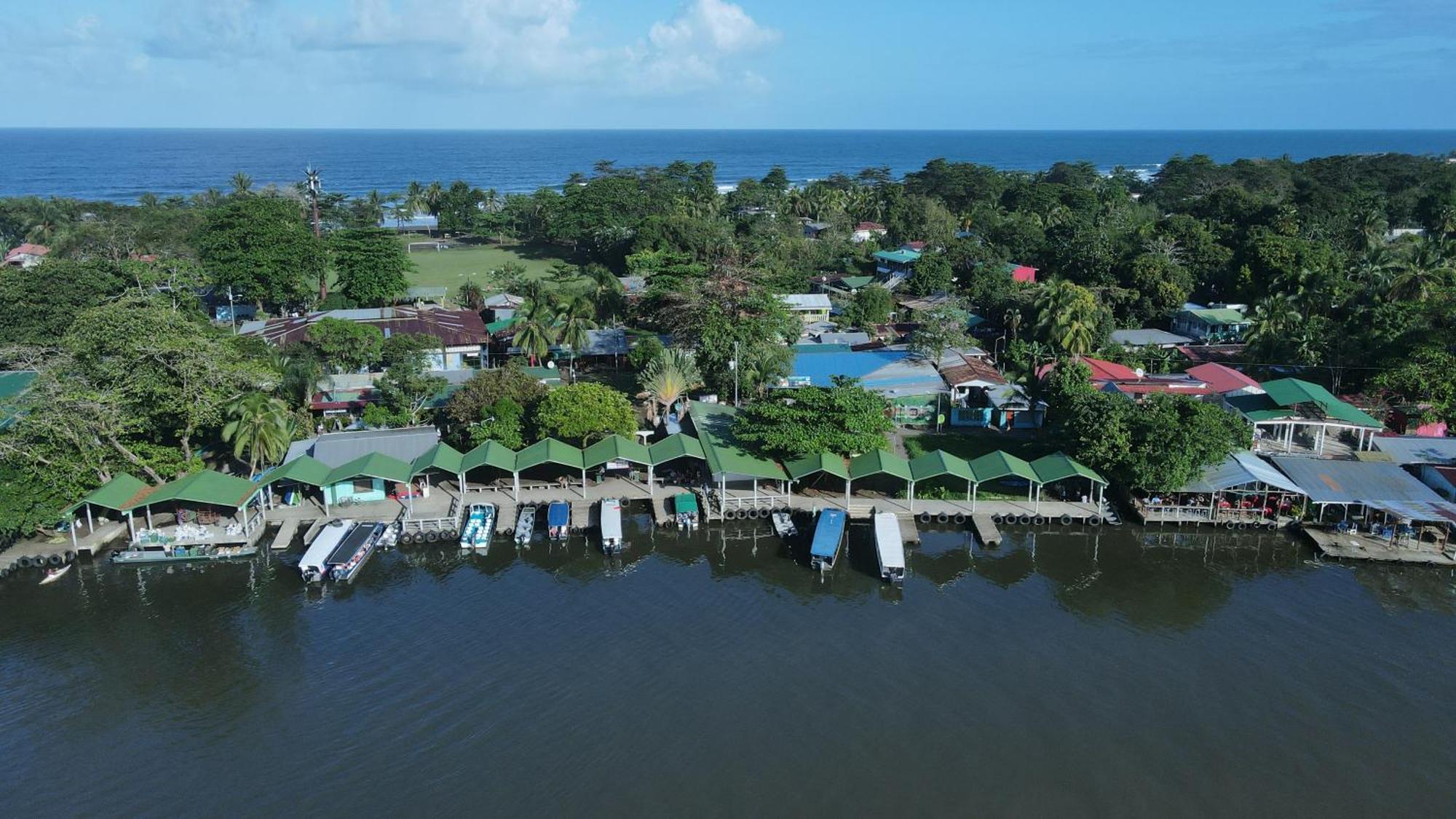 Hostel Tortuguero 7Backpackers Exteriér fotografie