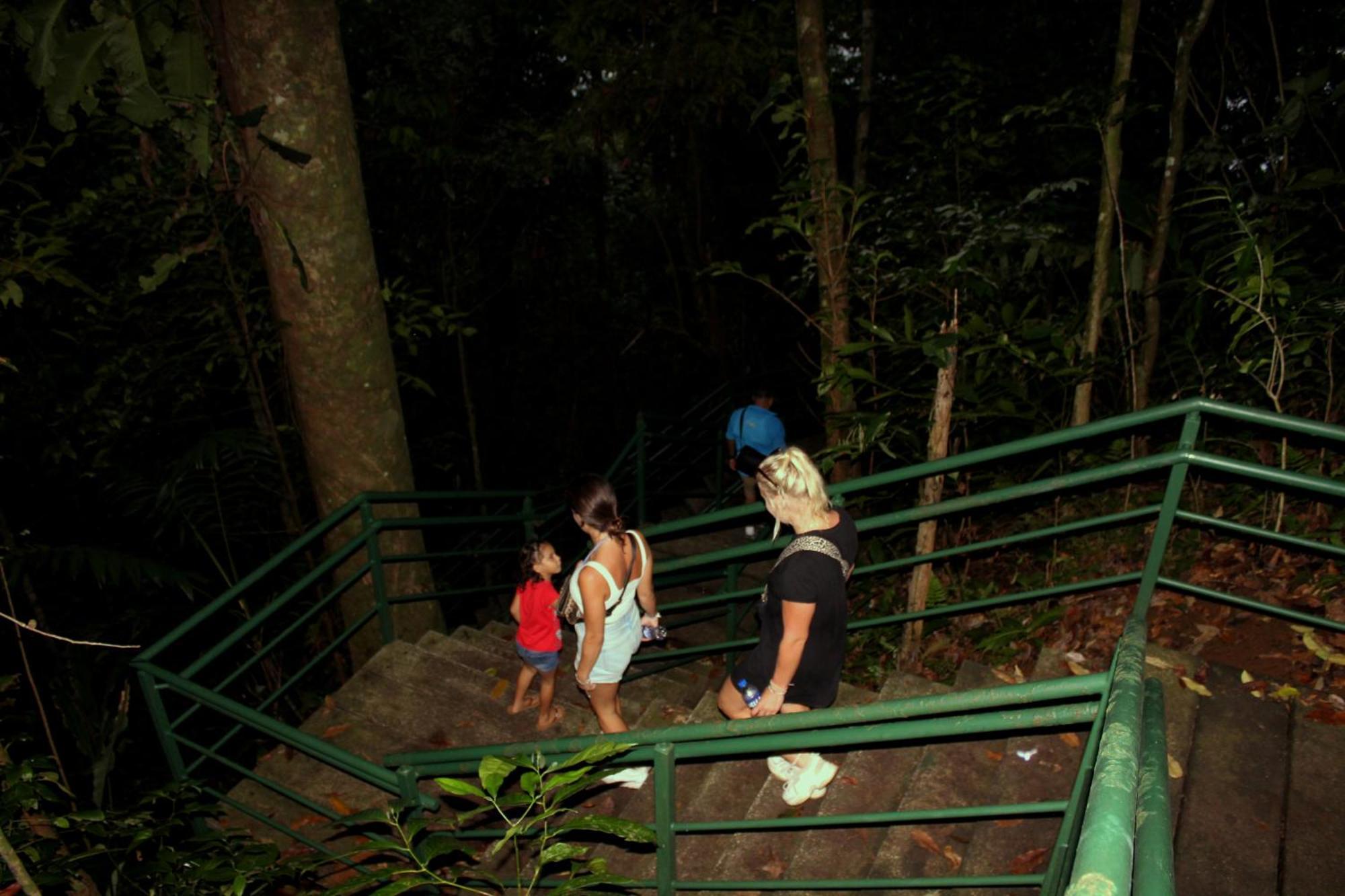 Hostel Tortuguero 7Backpackers Exteriér fotografie